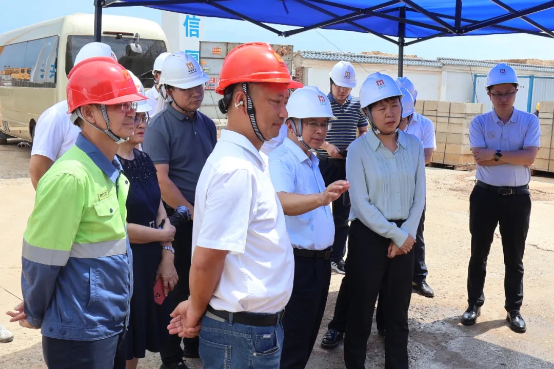 海南省副省長(zhǎng)尹麗波赴星之海2萬噸氫氧化鋰項(xiàng)目現(xiàn)場(chǎng)調(diào)研1.jpg