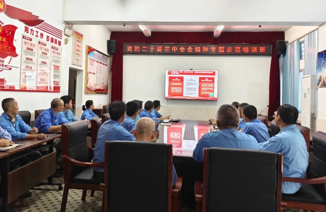 海南礦業組織觀看學習貫徹黨的二十屆三中全會精神專題示范班課堂視頻直播