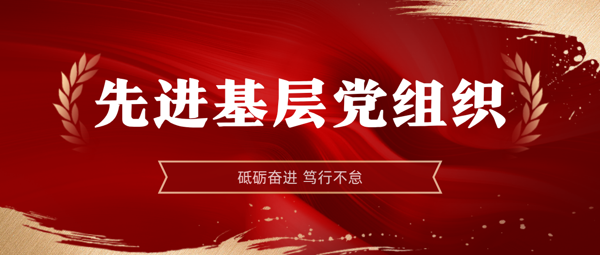 弘揚榜樣精神 | 海南礦業2024-2025年度先進基層黨組織